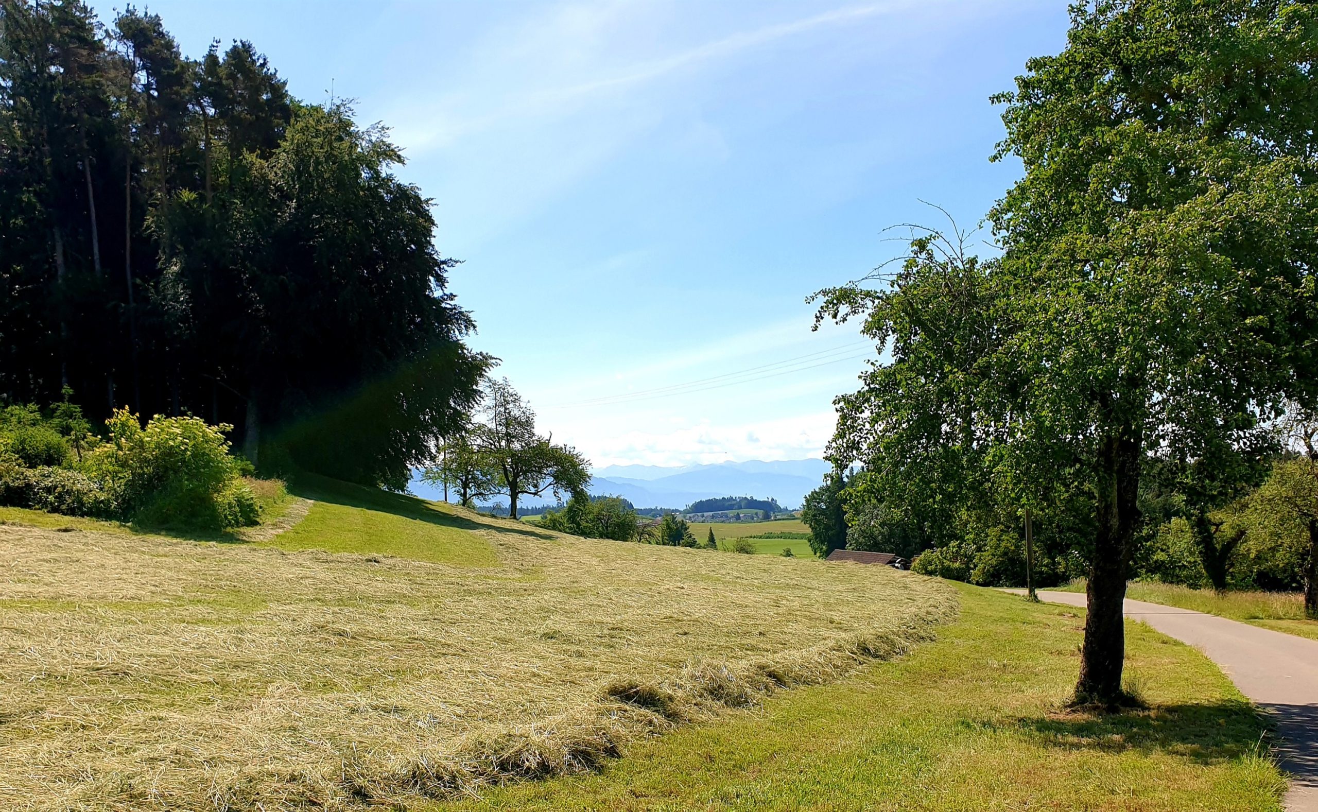 Zwischen Kressbronn und Lindau abseits der Hauptfahrradrouten
