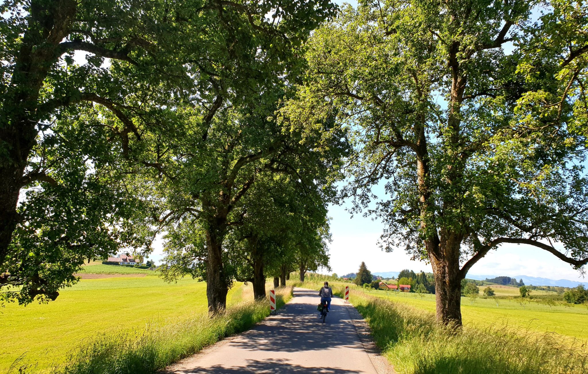 Zwischen Kressbronn und Lindau abseits der Hauptfahrradrouten