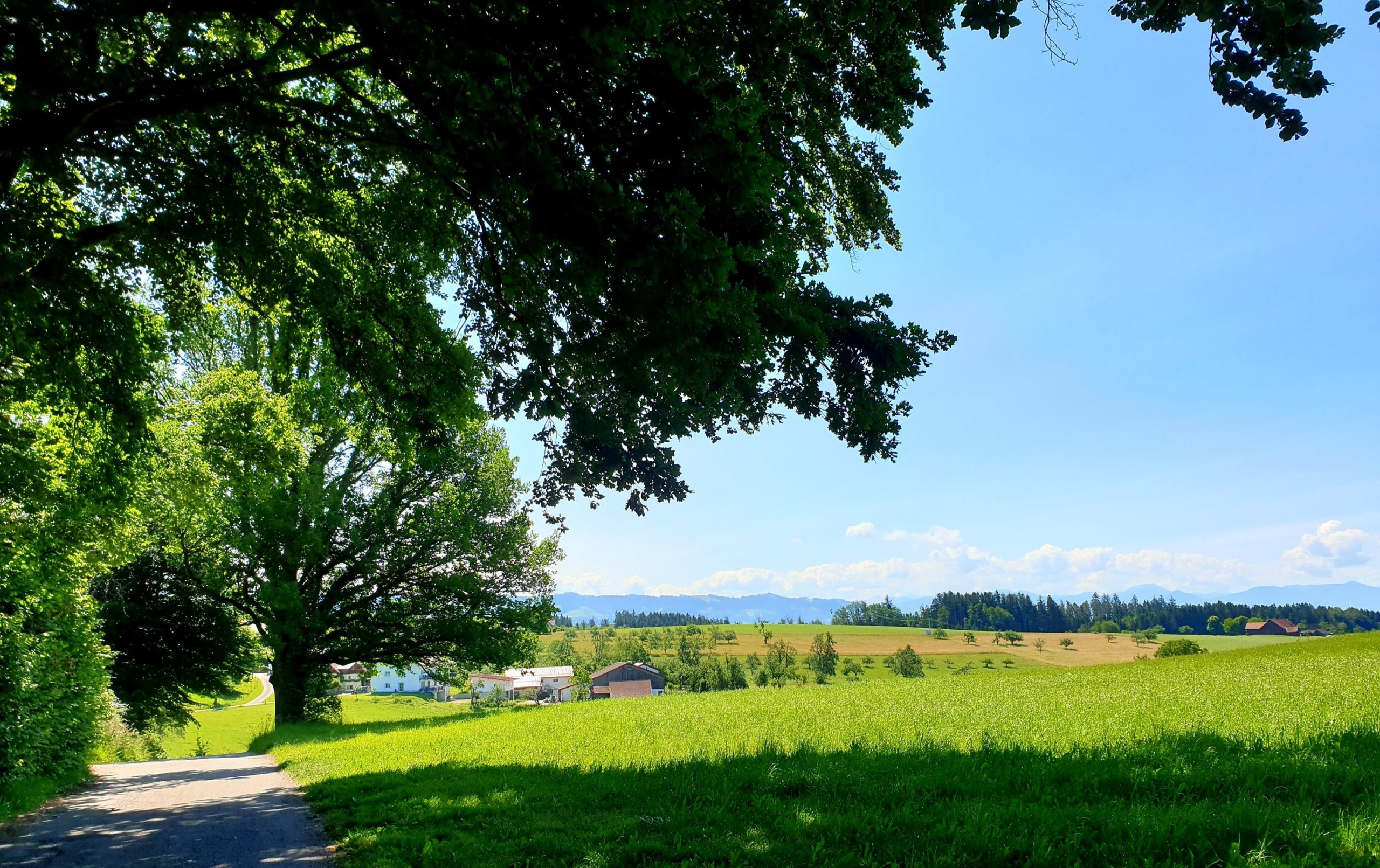 Zwischen Kressbronn und Lindau abseits der Hauptfahrradrouten