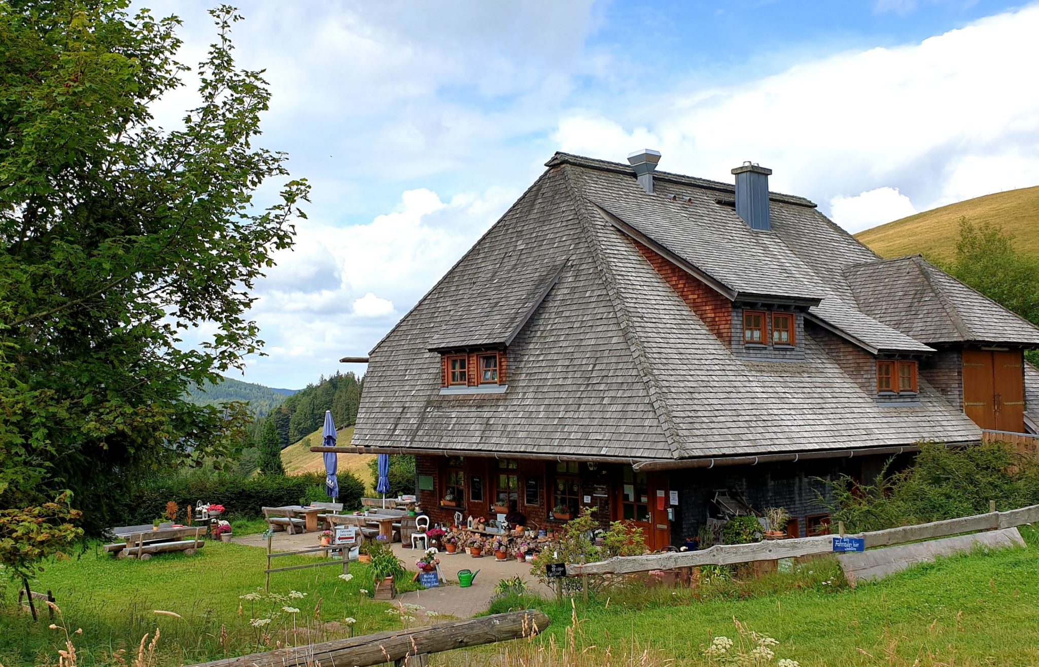 Von Kirchzarten über den Hinterwaldkopf tourundtisch